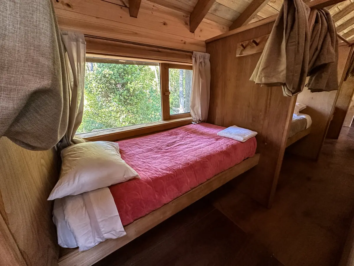 Train beds in the shared room, window onto the forest